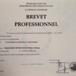 brevet professionel